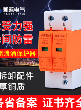 浪涌保护器2P4P防雷器220V380V光伏家用避雷器20KA40KA电涌保护器