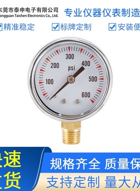 Y50 1/4 NPT 0-600psi径向压力表高品质气压表油压表水压表液压表