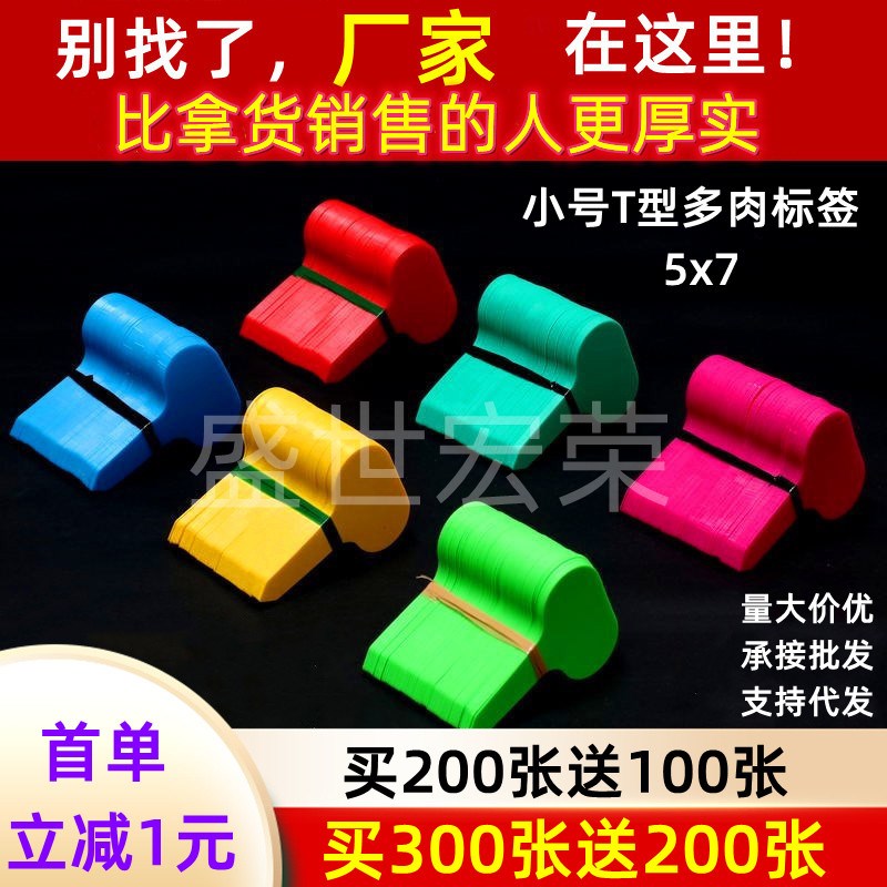 宏荣植物标签园艺标签T型花卉标签小号多肉标识牌防水塑料插地牌