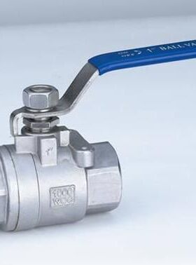 304不锈钢二片式球阀内螺纹球阀2片式内丝球阀2pc丝扣Q11F-16中型