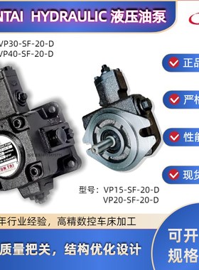JUNTAI俊泰液压油泵叶片泵VP-SF-20-DVP-SF-12 15-DVP-SF-30/40-D