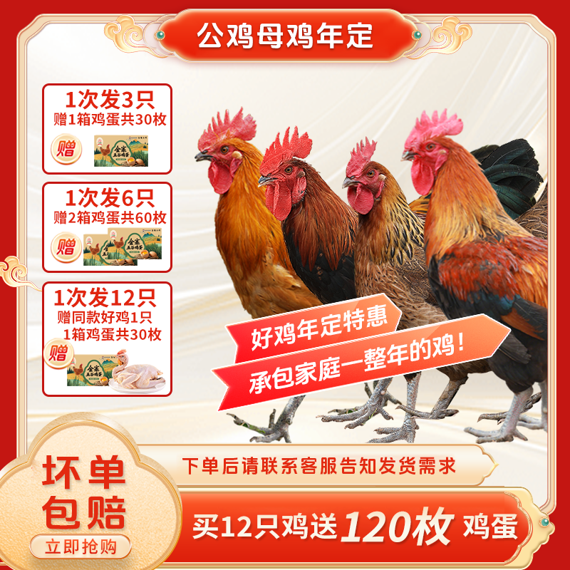 三德子【vip年定鲜鸡】散养跑山鸡公鸡母鸡新鲜宰杀定制发货
