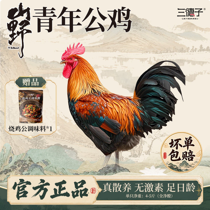 三德子好甄选 青年公鸡单只 散养生态鸡跑山鸡现送调味料图片