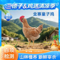 三德子好甄选金寨童子鸡农家散养生态土鸡公鸡跑山鸡新鲜宰杀鲜嫩