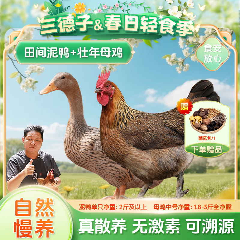 三德子好甄选 壮年母鸡+田间泥鸭 生态散养土鸡老鸭子煲汤炖汤
