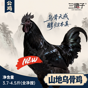 三德子乌鸡散养生态山地乌骨鸡 活鸡新鲜宰杀整只散养土鸡黑公鸡
