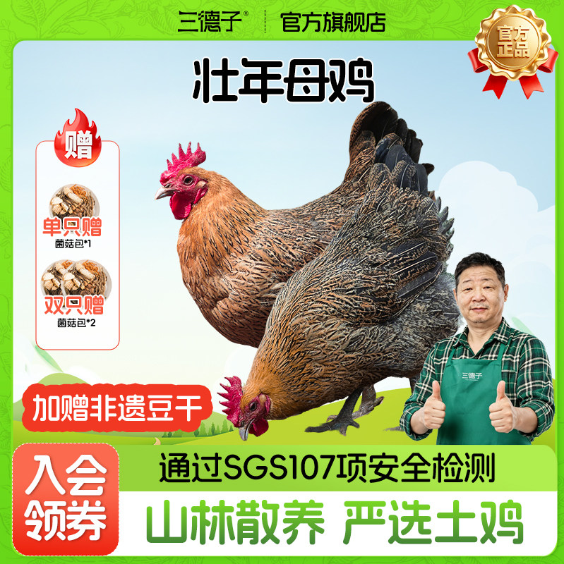 三德子【壮年老母鸡】山地散养350天左右走地鸡新鲜美味月子鸡汤