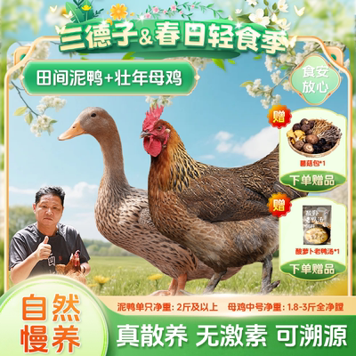 母鸡350天以上，鸭子500天以上！