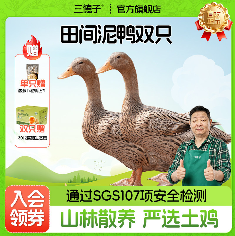 三德子好甄选农家散养500天左右新鲜现杀鸭子生态土鸭老鸭子炖汤