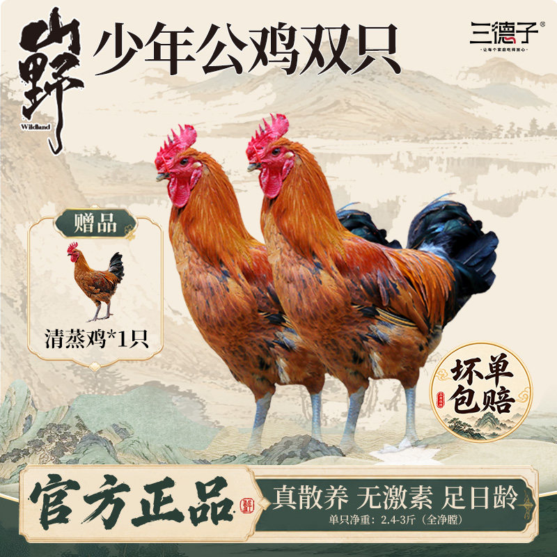 三德子农家散养雪山草鸡拍一发三图片