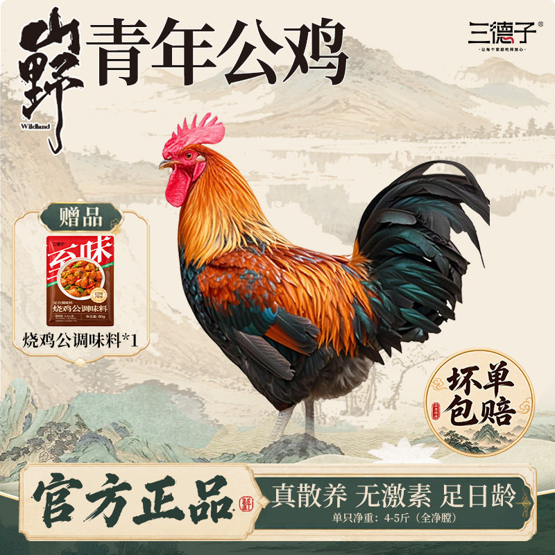 三德子好甄选 青年公鸡单只 散养生态鸡跑山鸡现送调味料