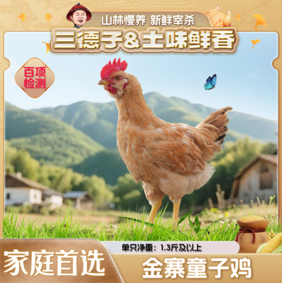 三德子好甄选金寨童子鸡农家散养生态土鸡公鸡跑山鸡新鲜宰杀鲜嫩