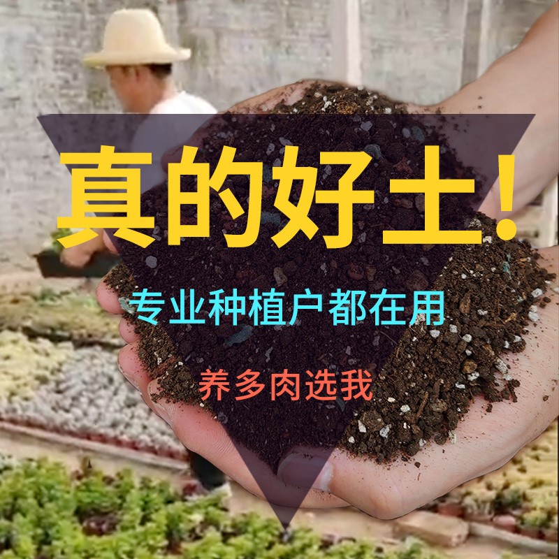 多肉专用营养土植物泥炭土多肉土叶插换盆土多肉颗粒土包邮家用