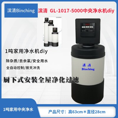 滨清GL-1017-5000FT家用中央净水机 1吨厨下式过滤器 时间型 diy