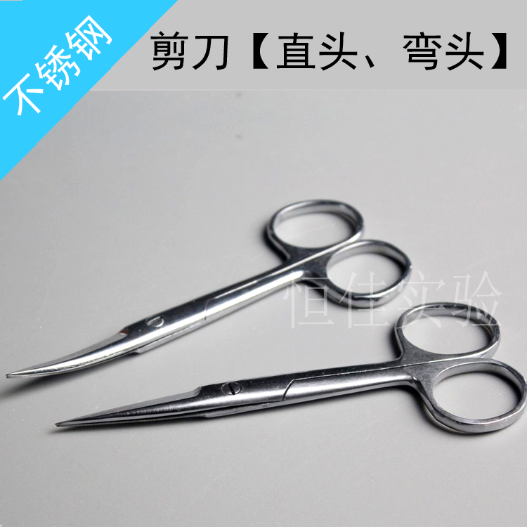 不锈钢剪刀10/12.5\14\16\18cm 实验用剪刀 直头/弯头