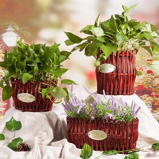 北欧藤编花篮柳编草编竹编手提编织花盆花筐花蓝创意插花摆件装饰