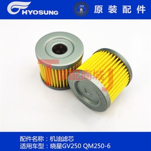 大韩摩托车晓星GV250机油滤芯轻骑轻骑QM250-6机油过滤器原装配件