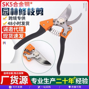 园林修枝剪园林修枝剪剪粗枝果树剪剪枝锋利园林剪刀