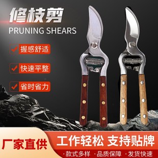 修枝剪园林树枝剪园林工具剪刀果树修剪复古实木红木柄果枝剪