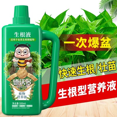 快速生根液扦插移栽壮苗强力生根