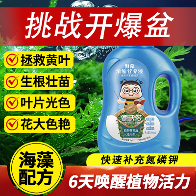 通用型植物浓缩营养液发财树花肥