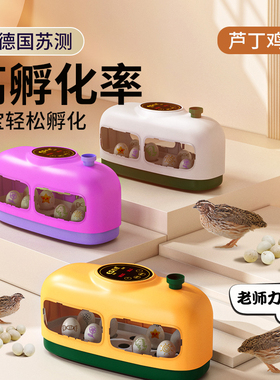 芦丁鸡孵化器孵蛋器全自动小型幼鸡孵化箱家用卢丁鸡蛋孵化机孵蛋