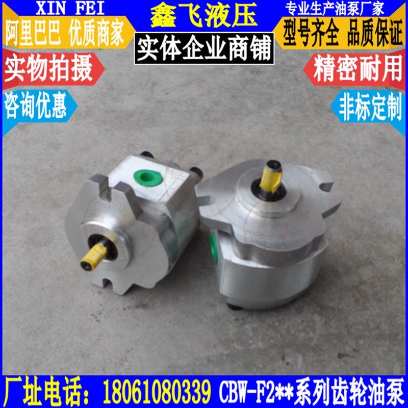 CBW-F202-ALPR ALPL AFPL ALPR高压齿轮泵ALP AFP液压油泵AFBL,机械设备,矿山专用设备,淘宝优惠券,粉丝福利购,淘宝优惠卷