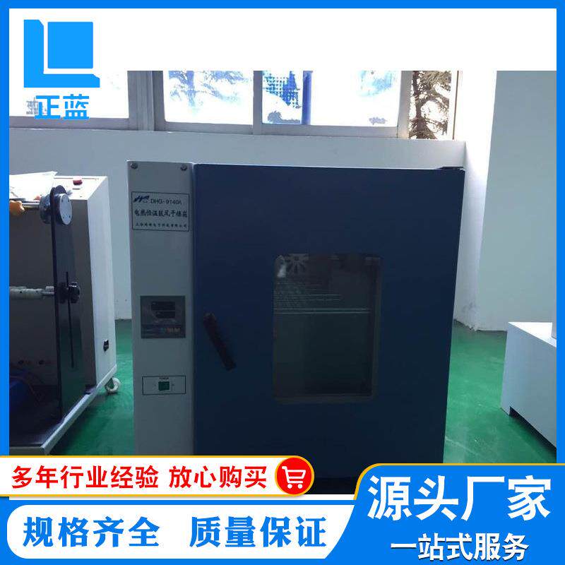 生产厂家 箱式干燥烤箱 鼓风烤箱 数显精密烤箱