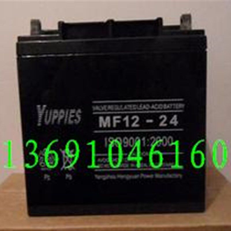 促销价格优佩斯YUPPIES蓄电池MF12-24电池12V24AH蓄电池厂家直销