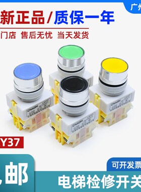 电梯检修开关LAY37(绿色/蓝色/黑色/黄色)启动停止按钮开关自复位
