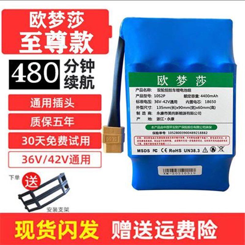 平衡车支架平衡车电池36v42V大容量电动双轮阿尔郎漂移扭扭车