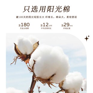 豆豆毯婴儿盖毯小被子宝宝夏凉被纱布夏季薄款幼儿园儿童毛毯