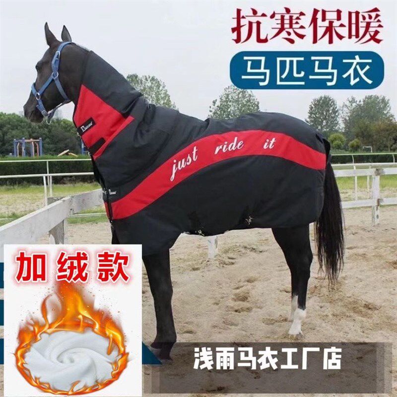 字母款加厚马衣 颗粒绒冬季马衣K 特厚款大马马驹马衣