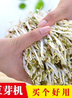 和德坊全自动豆芽机家用发芽盆培育器I陶瓷豆芽罐非紫砂不红不苦