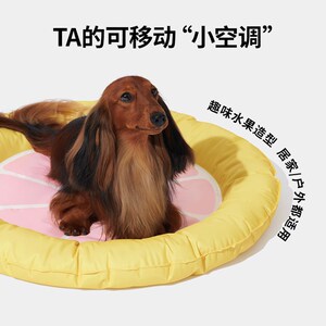 未卡柚里柚气凉凉冰垫宠物降温冰窝狗狗凉席睡眠垫子夏季猫咪用品