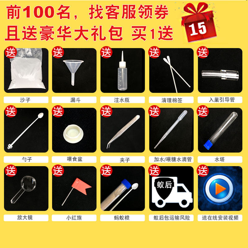 蚂蚁工坊沙土版 大头蚁蚂蚁城堡豪华宫殿别墅 送蚁后可繁殖可产卵