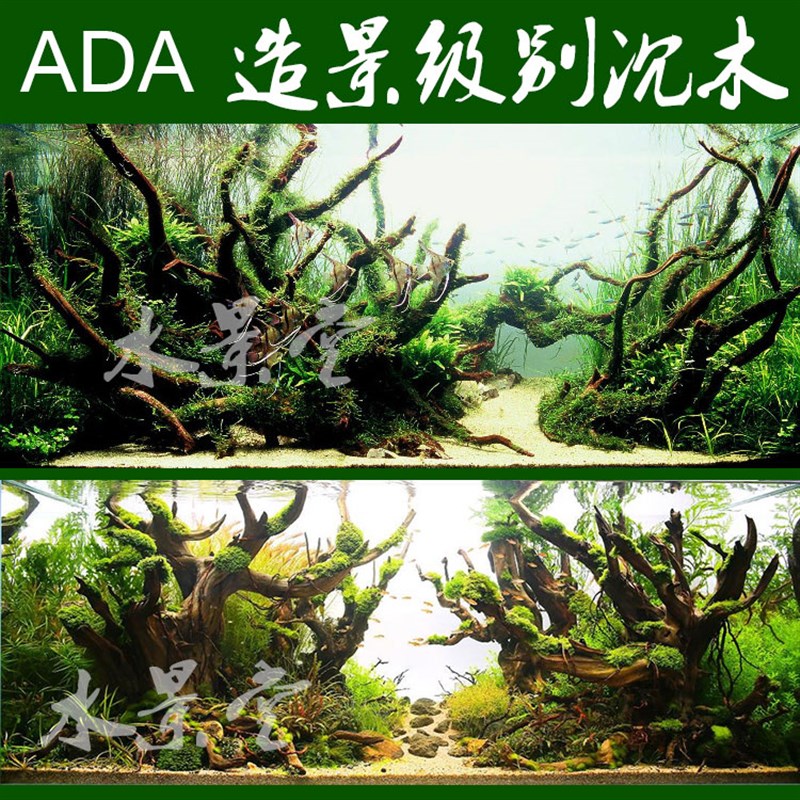 沉木造景套餐景石超白缸鱼缸天然造景新品水族