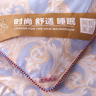 加厚被子冬被春秋被太空调被轻薄款双人秋冬丝棉被芯冬天保暖冬季