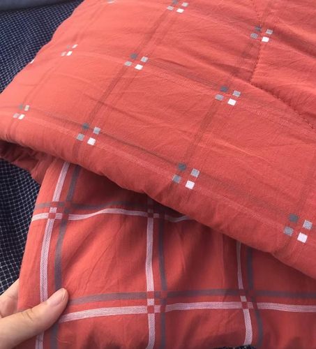 里外全棉春秋被全棉水洗棉棉花被纯棉提花长绒棉单双人冬被子被芯