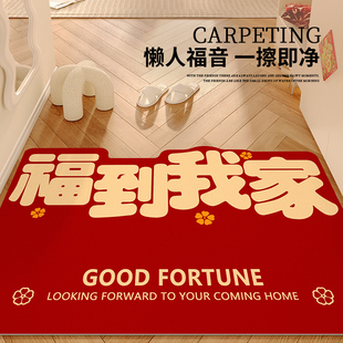 入户门地垫进门龙年过年脚垫门垫家用防滑免打理门口2024新年地毯