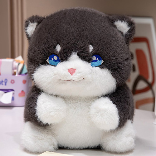 可爱猫咪玩偶小猫毛绒玩具抱着睡觉公仔儿童节礼物生日女生布娃娃