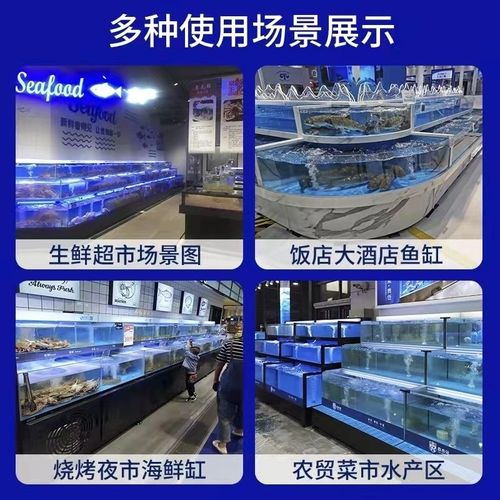 商用制冷机移动海鲜池一体水产海鲜缸贝类池超市饭店海鲜鱼缸定制