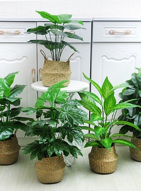 仿真植物落地盆景盆栽带盆花卉摆件桌摆室内客厅V装饰超市美陈