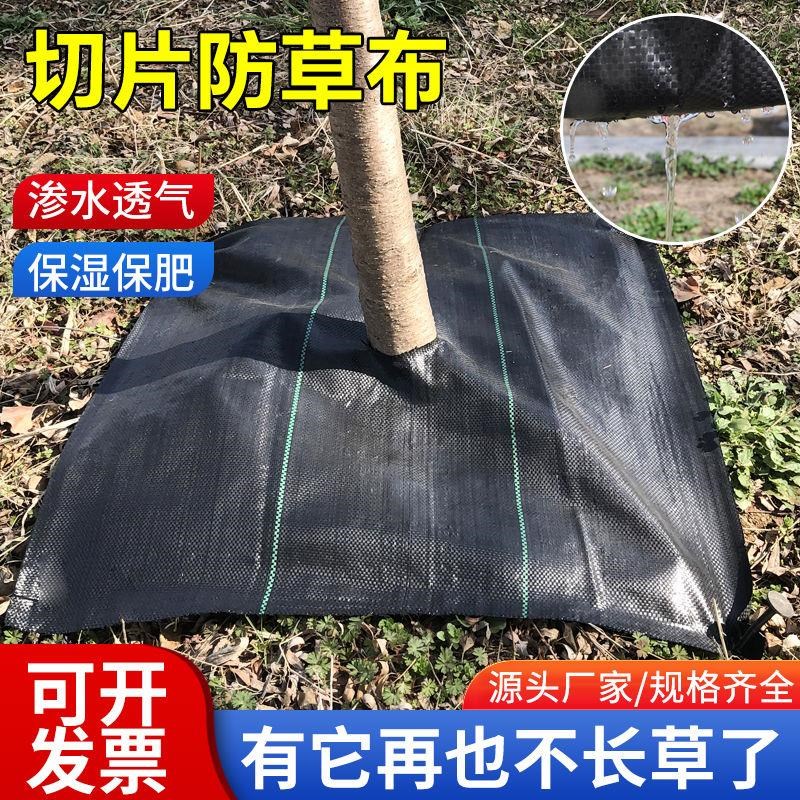 防草布切片果园果树除草布打孔单片D遮草盖草农用园艺地布透气透