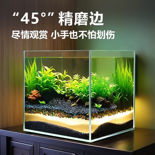 2025新款超白鱼缸金晶玻璃方缸小型客厅溪流生态缸20/25/30方形缸