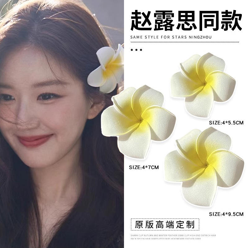 沙滩海边仿真头花鸡蛋花发夹2025新款高端花朵抓夹女侧边夹子发饰
