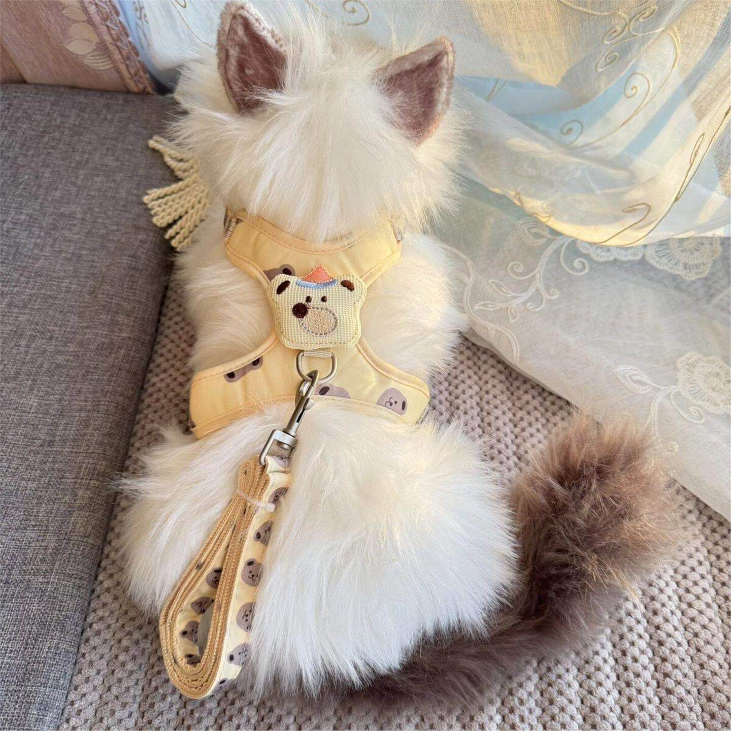 猫咪牵引绳 背心防挣脱外出遛猫绳子 小型专用链子调节宠物背带