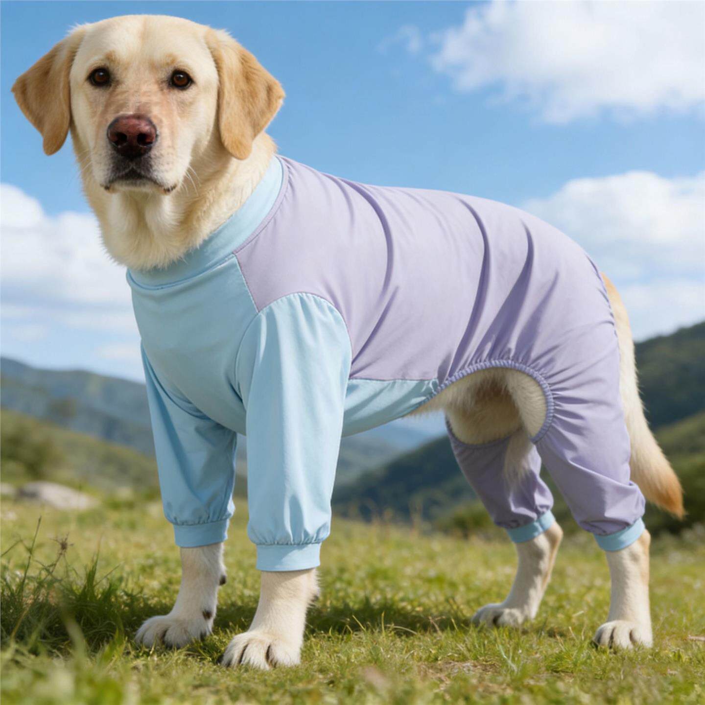 边境牧羊犬金毛大狗狗凉凉衣中大型犬冰丝防晒衣服夏季防掉毛宠物