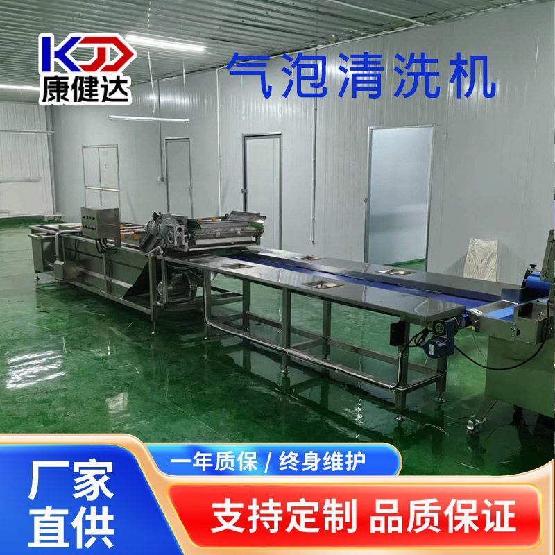 不锈钢气泡翻滚洗菜机 豆角芸豆西红柿清洗机 花菜全自动清洗设备