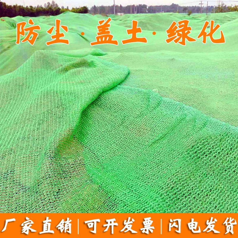 天津外架密目网安全网防护网阻燃防尘网建筑工地绿色脚防坠装修网